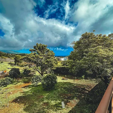 Viva Quinta I Quinta Do Ananas Pineapple Farmhouse São Roque