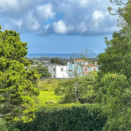 Viva Quinta I Quinta Do Ananas Pineapple Farmhouse *