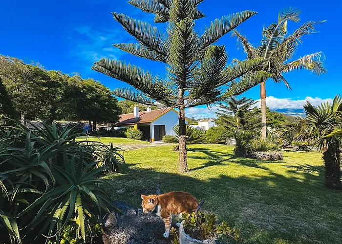 Villa Quinta Do Ananas Pineapple Farm São Roque