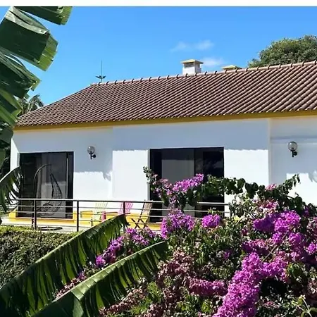 Viva Quinta I Quinta Do Ananas Pineapple * São Roque