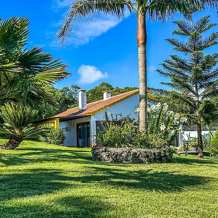 Villa Viva Quinta I Quinta Do Ananas Pineapple
