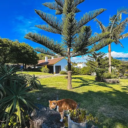 Villa Viva Quinta - Quinta Do Ananas Sao Roque (Sao Miguel)