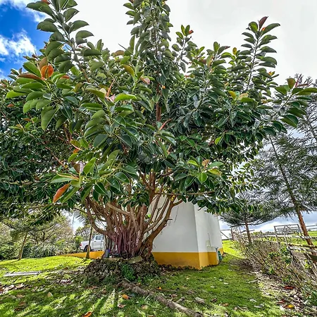 Quinta Do Ananas Pineapple Farm * São Roque