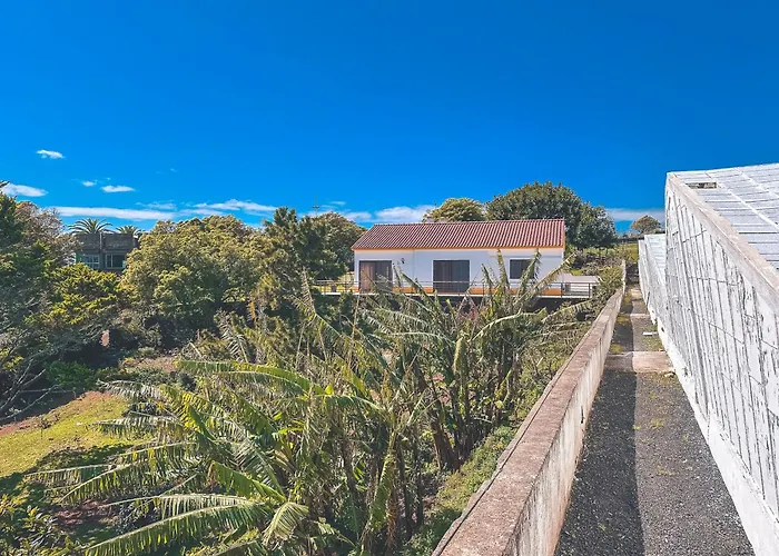 Quinta Do Ananas Pineapple Farm * Sao Roque (Sao Miguel)