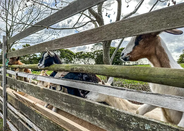 Villa Quinta Do Ananas Pineapple Farm Sao Roque (Sao Miguel)